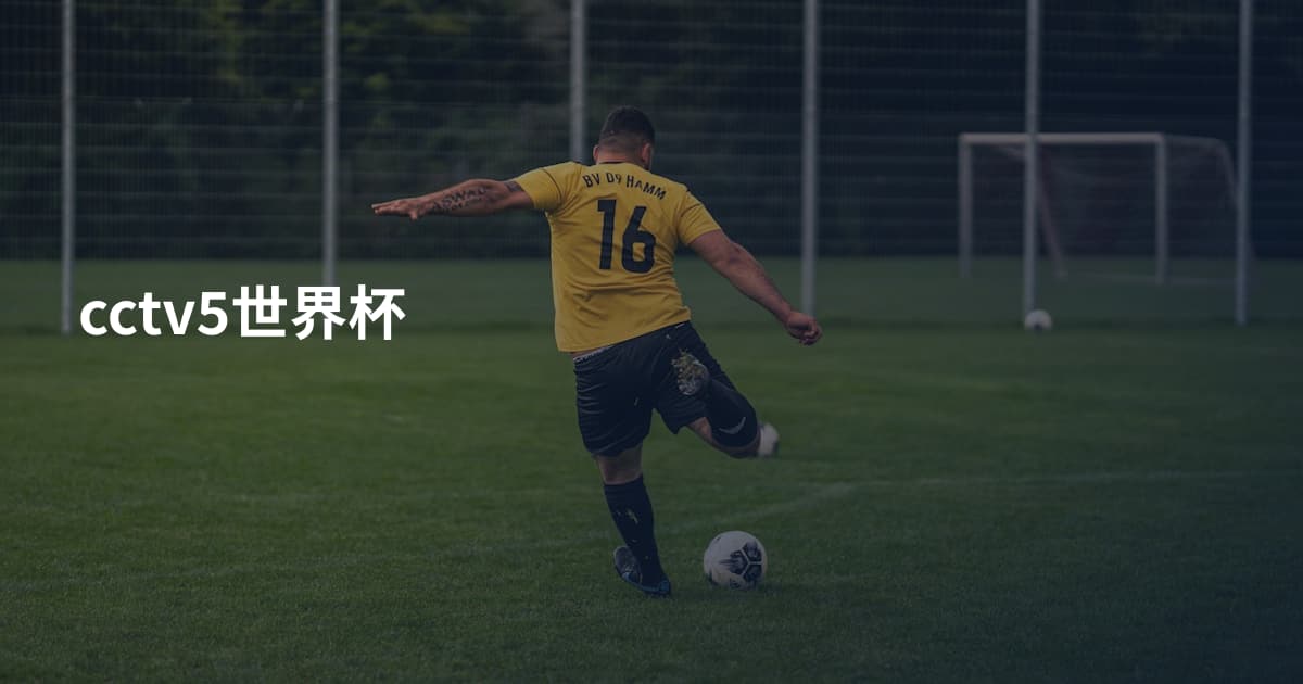cctv5世界杯