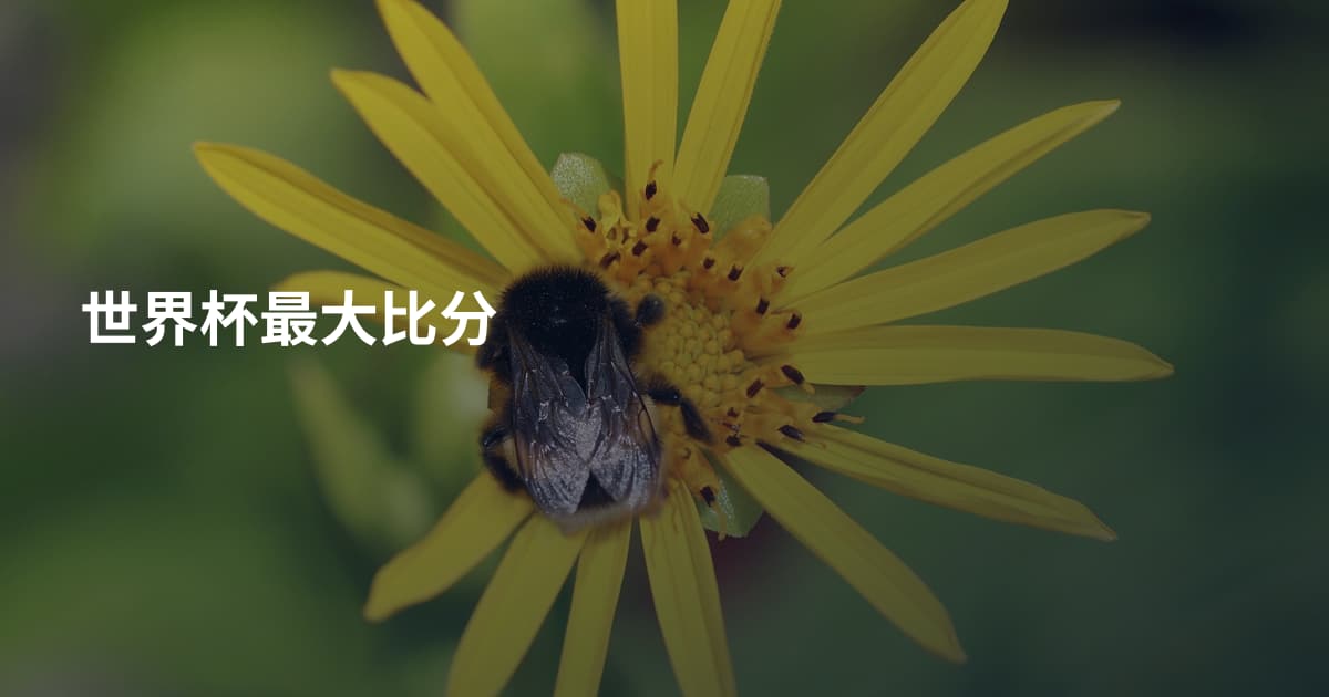 世界杯最大比分