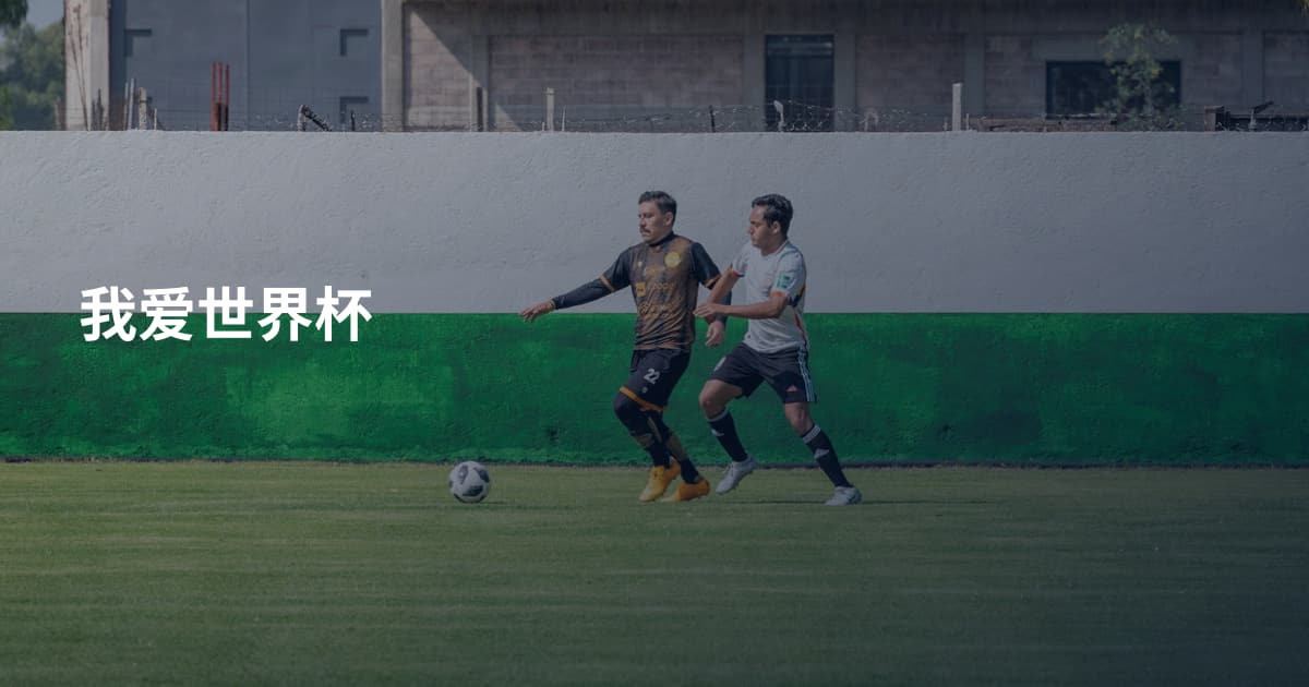 我爱世界杯