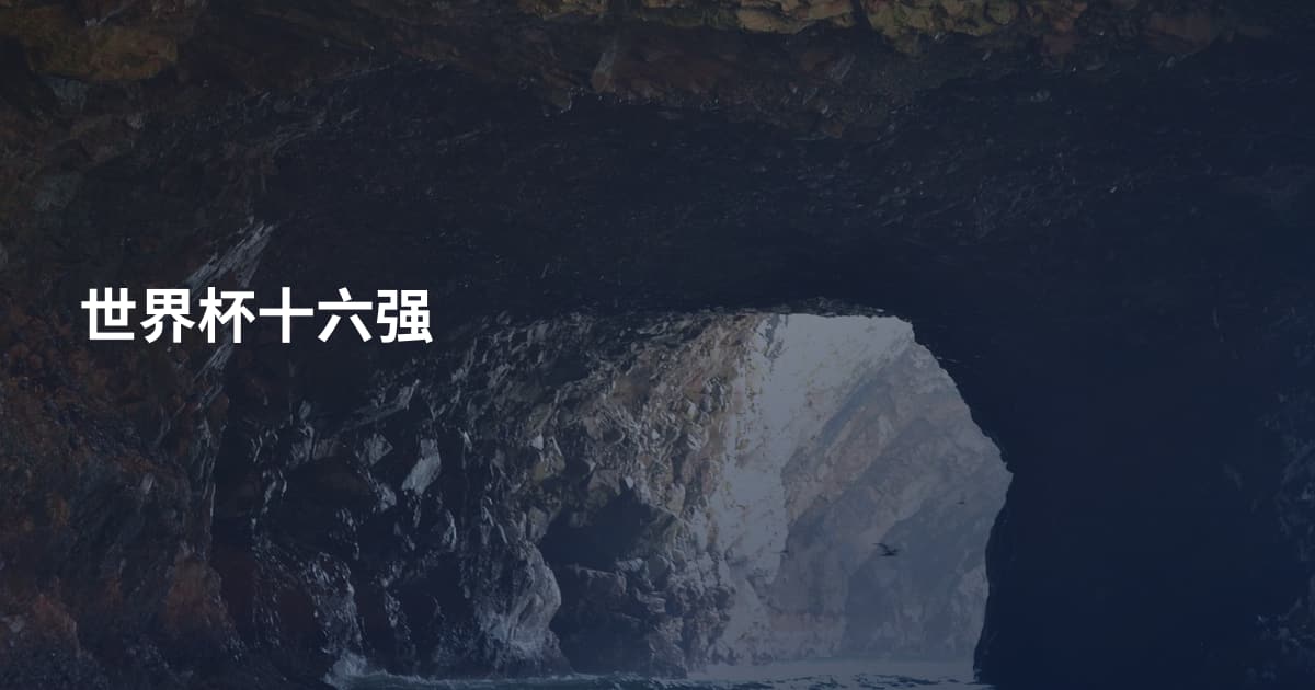 世界杯十六强