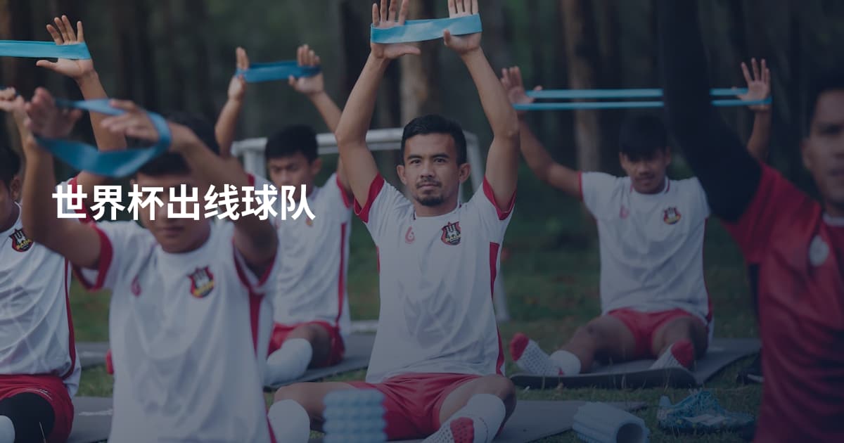 世界杯出线球队