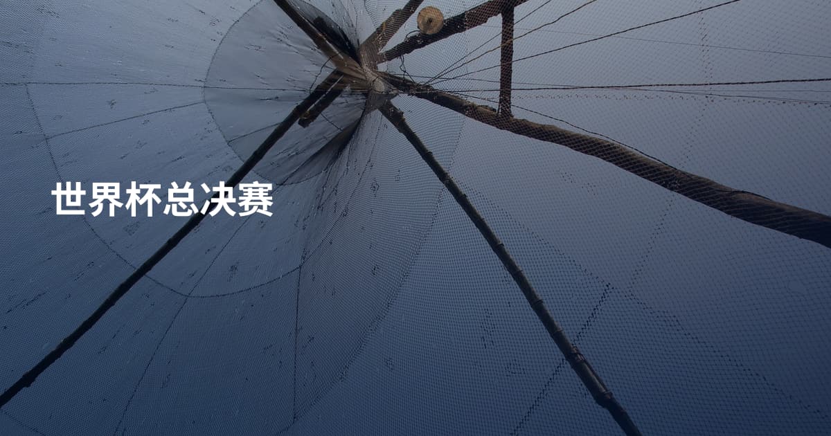 世界杯总决赛