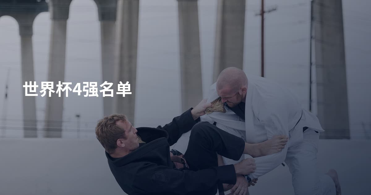 世界杯4强名单