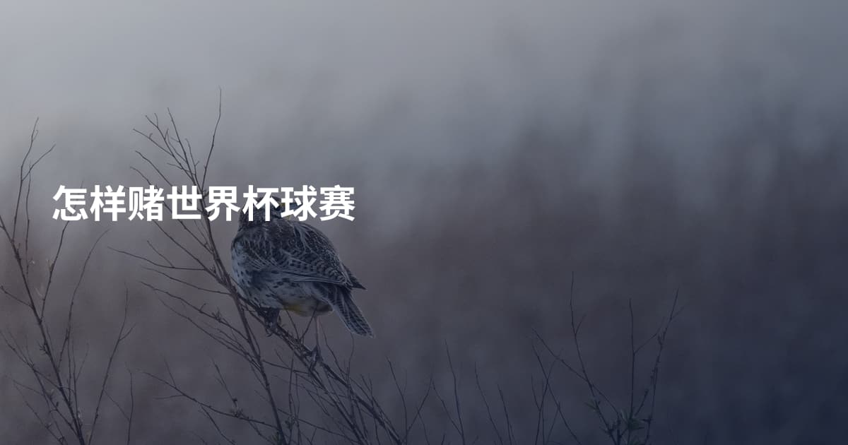 怎样赌世界杯球赛