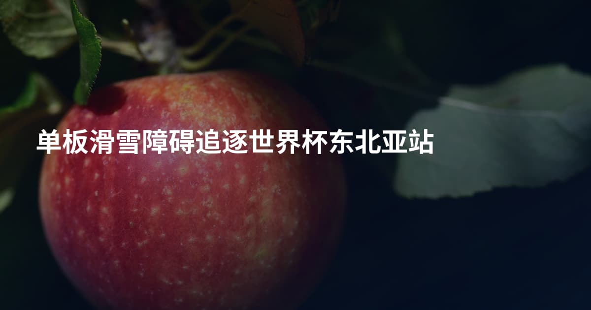 单板滑雪障碍追逐世界杯东北亚站