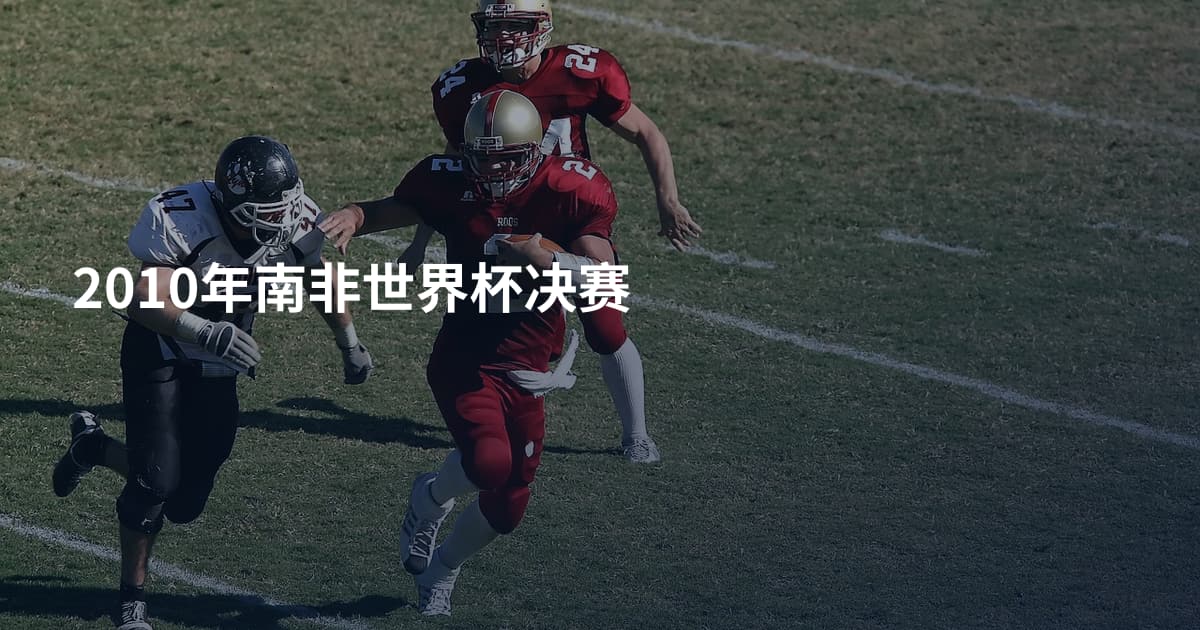 2010年南非世界杯决赛