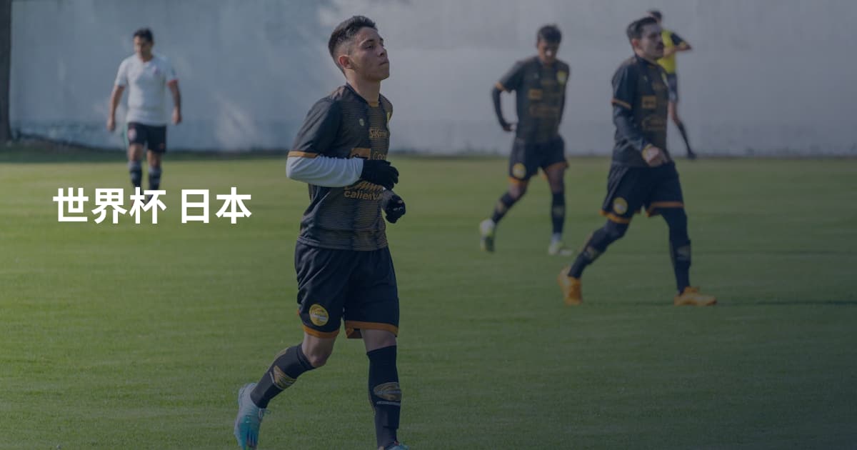 世界杯 日本