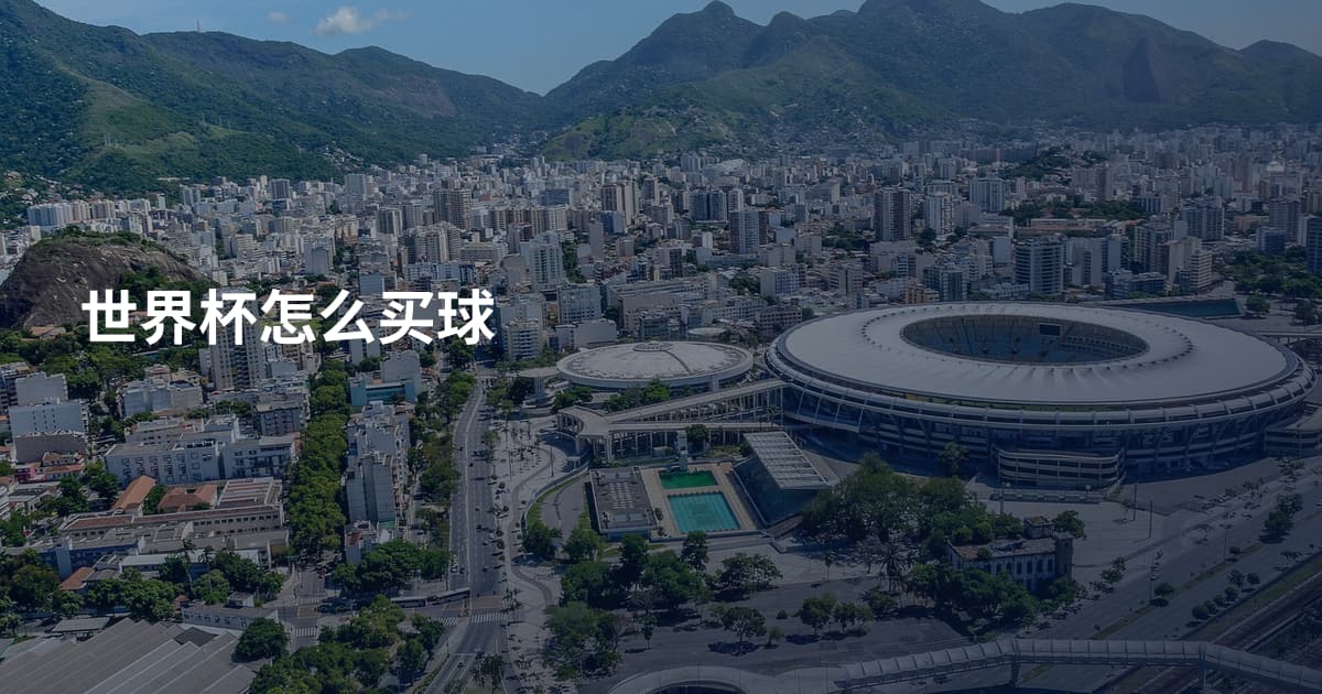 世界杯怎么买球