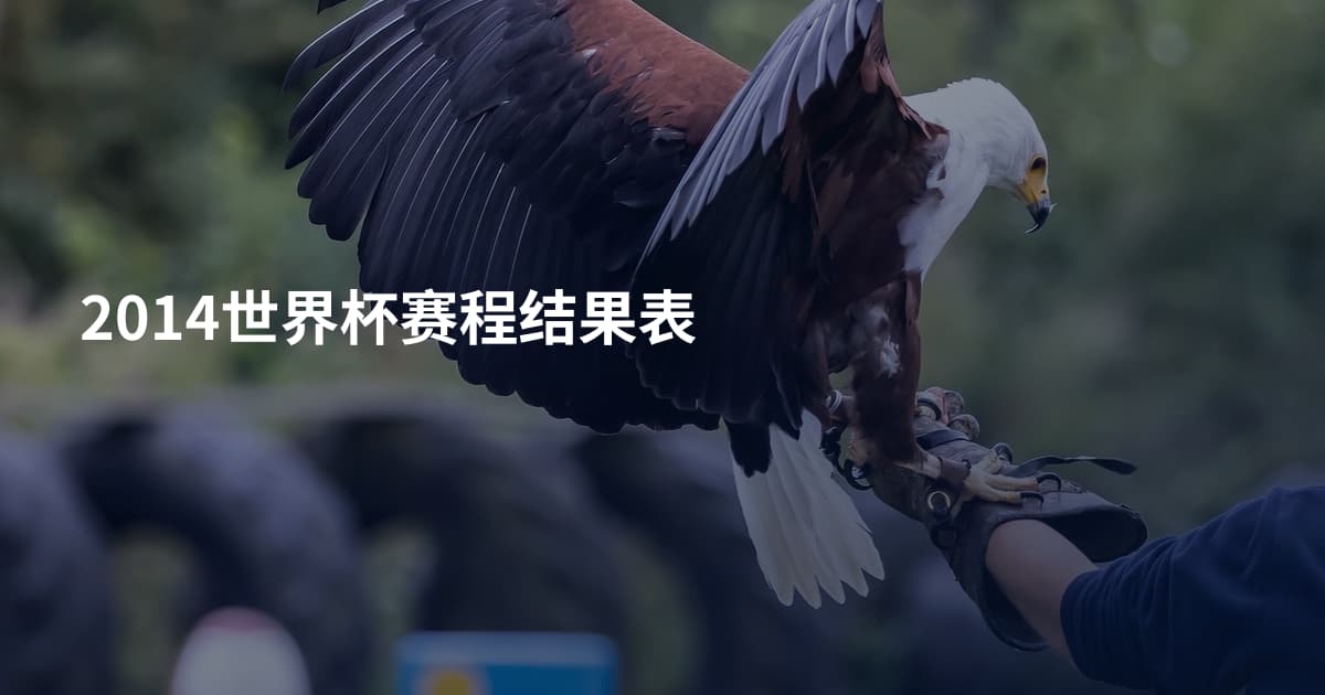 2014世界杯赛程结果表