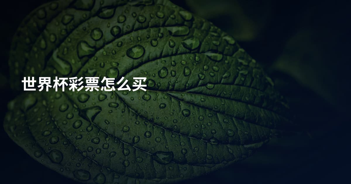 世界杯彩票怎么买