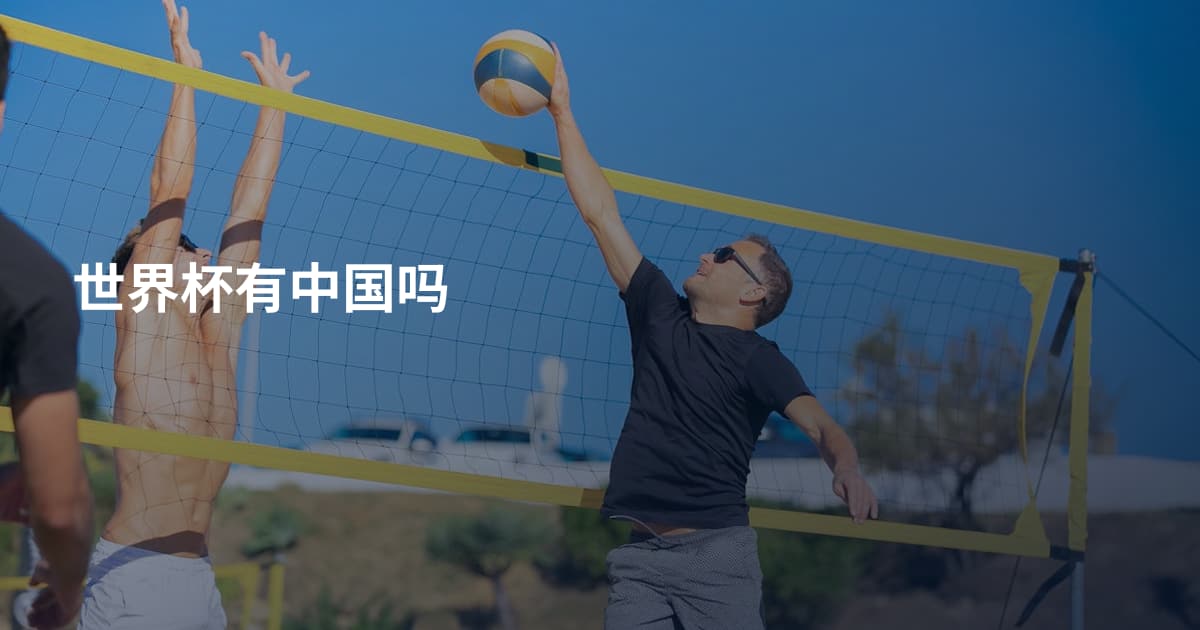 世界杯有中国吗