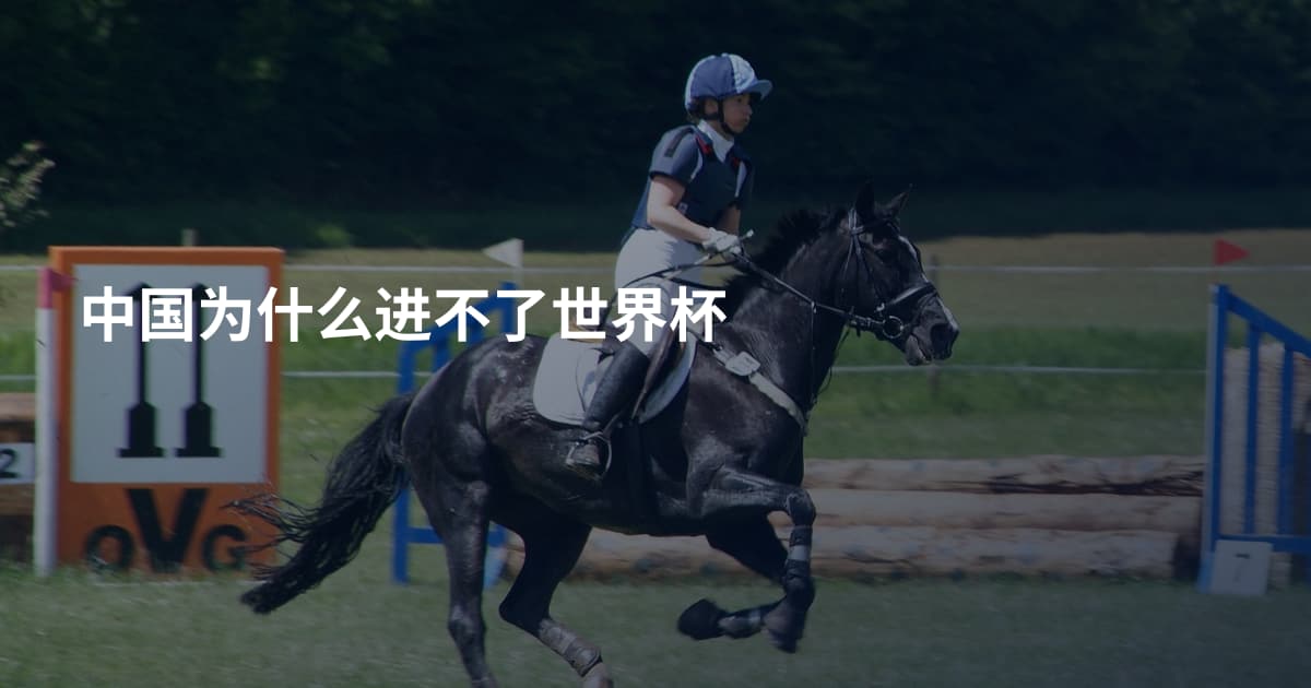 中国为什么进不了世界杯