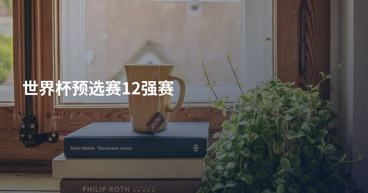 世界杯预选赛12强赛