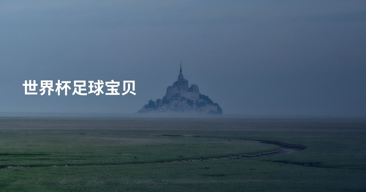 世界杯足球宝贝