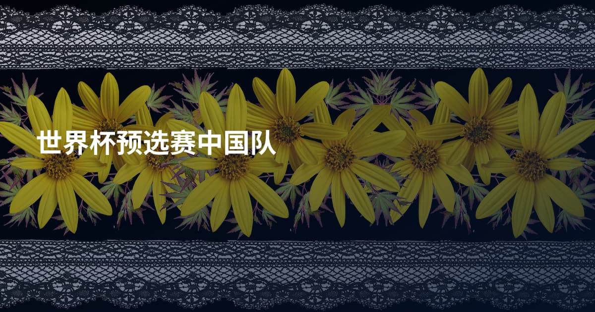世界杯预选赛中国队