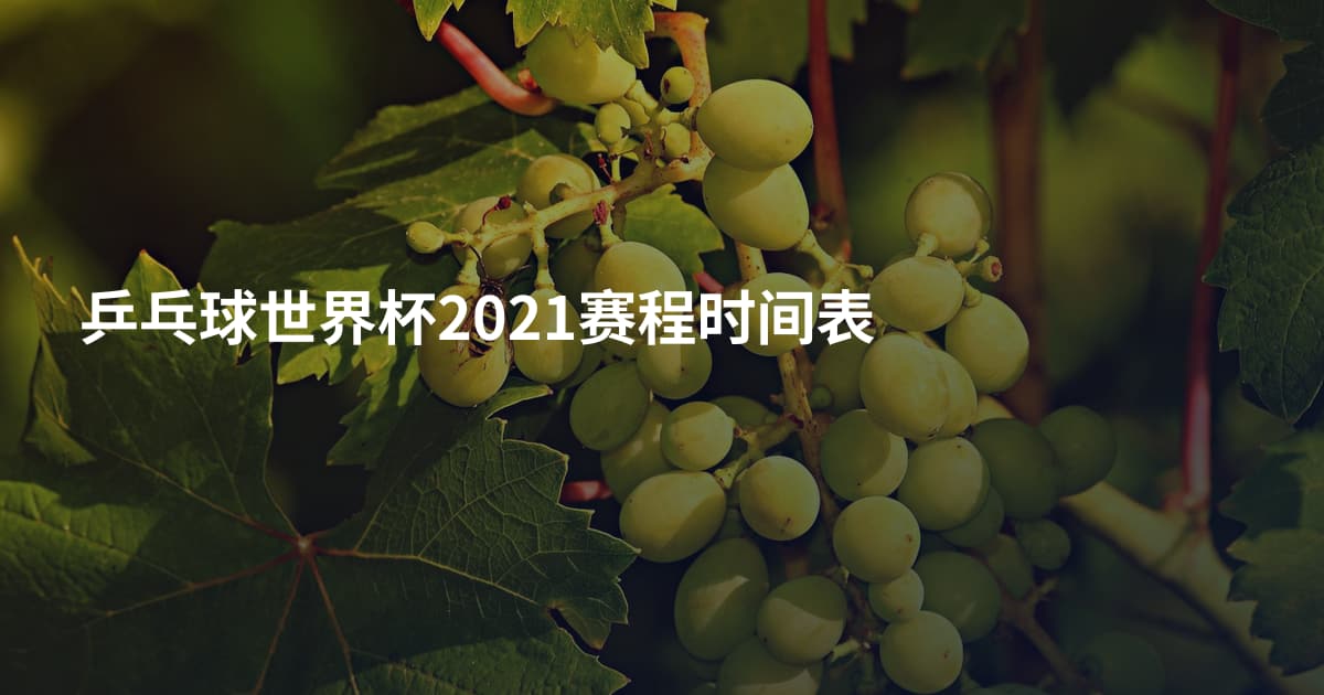 乒乓球世界杯2021赛程时间表