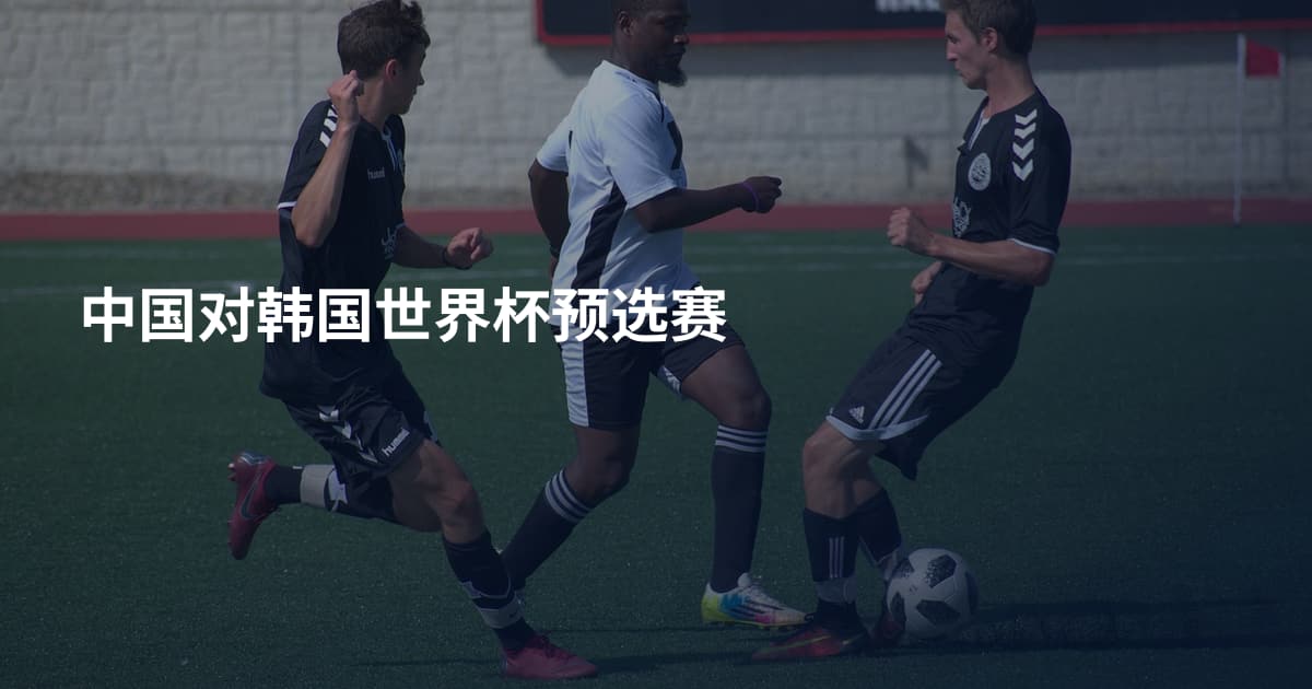 中国对韩国世界杯预选赛