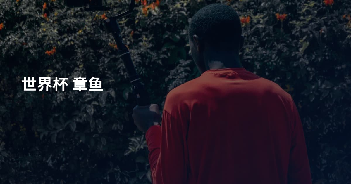 世界杯 章鱼
