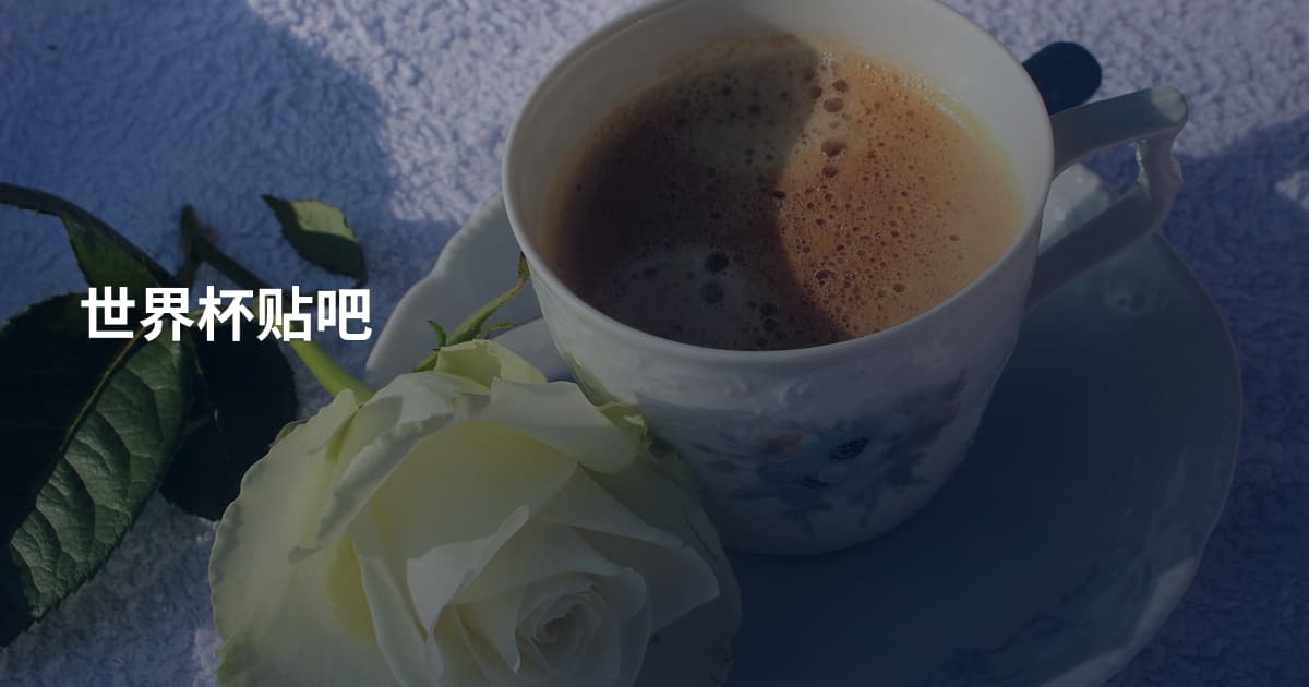 世界杯贴吧