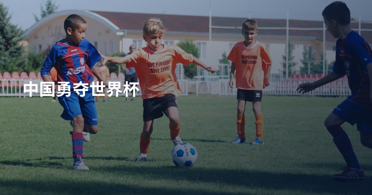 中国勇夺世界杯