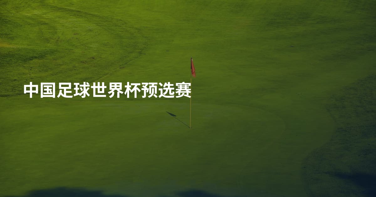 中国足球世界杯预选赛