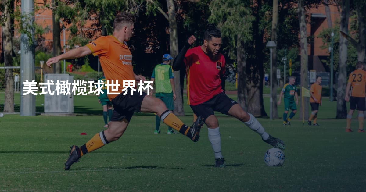 美式橄榄球世界杯