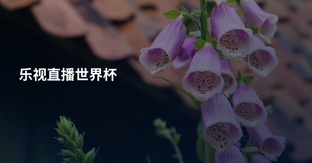 乐视直播世界杯