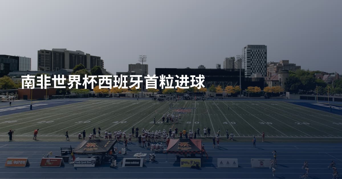 南非世界杯西班牙首粒进球