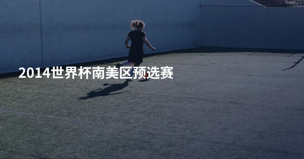 2014世界杯南美区预选赛