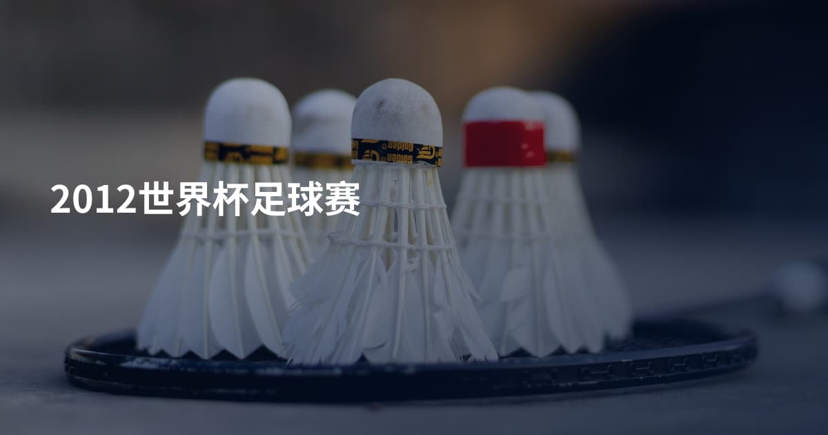 2012世界杯足球赛
