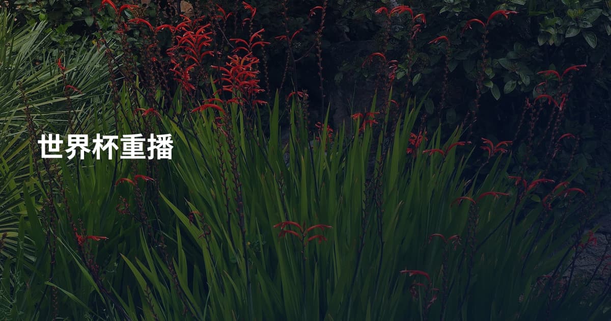 世界杯重播