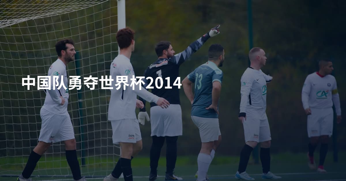 中国队勇夺世界杯2014