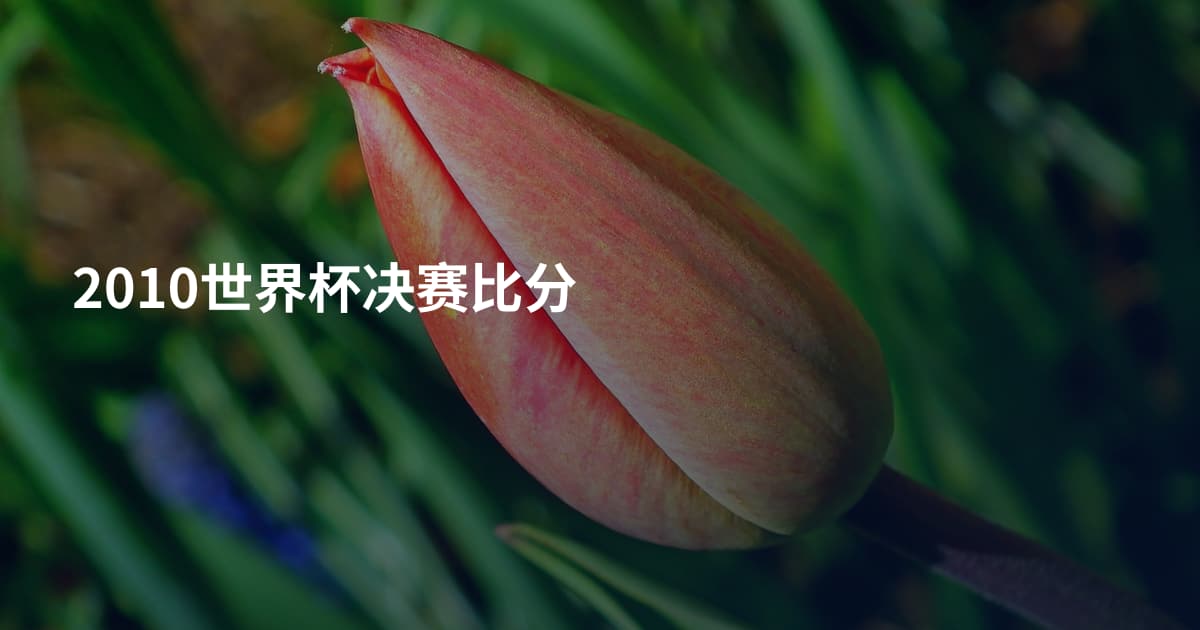 2010世界杯决赛比分