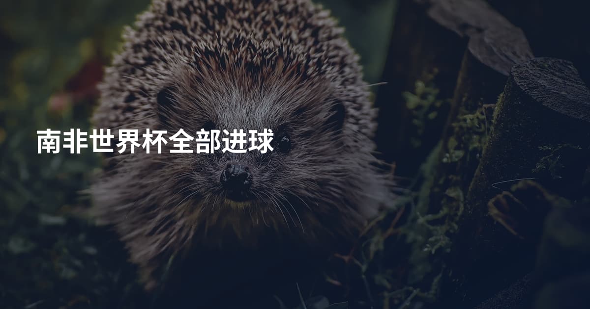 南非世界杯全部进球