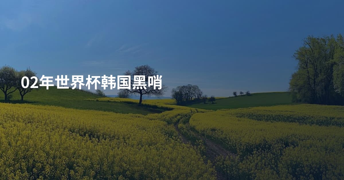 02年世界杯韩国黑哨