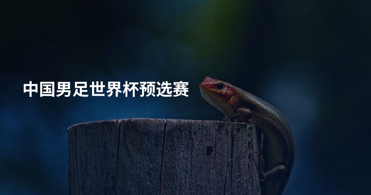 中国男足世界杯预选赛