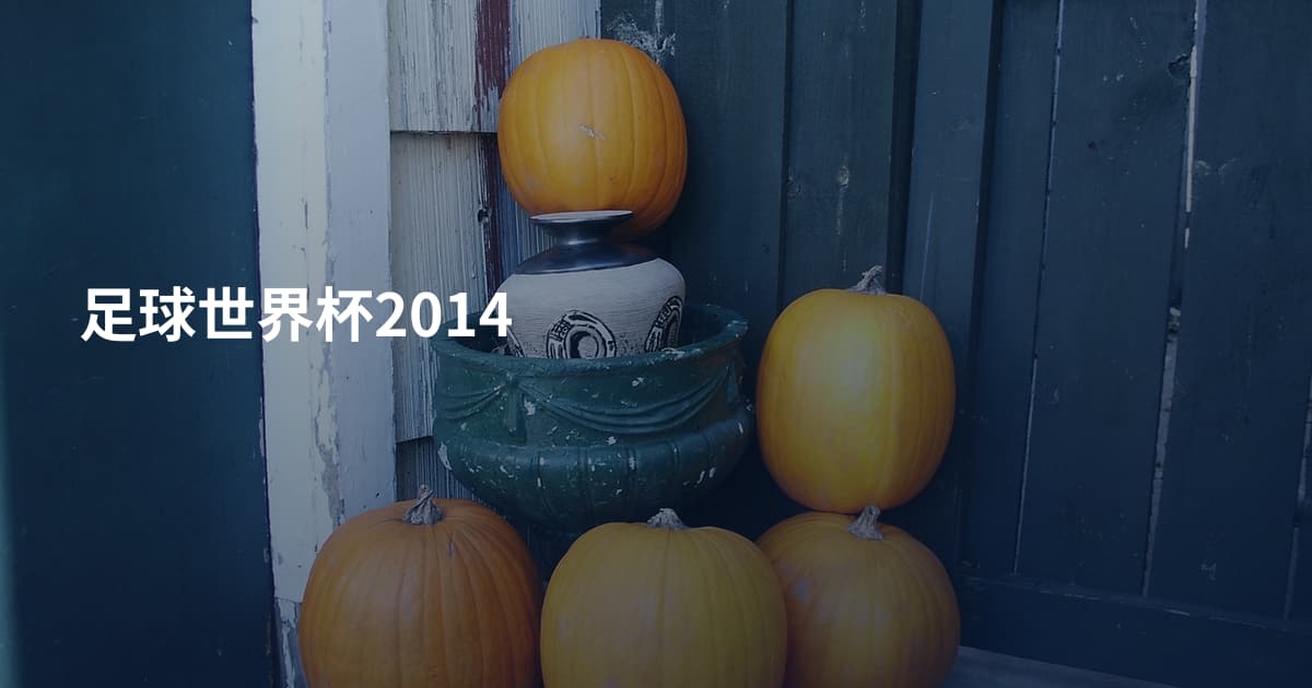 足球世界杯2014