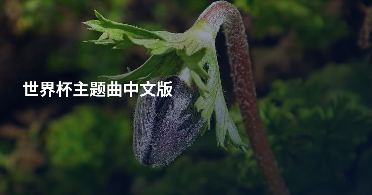 世界杯主题曲中文版