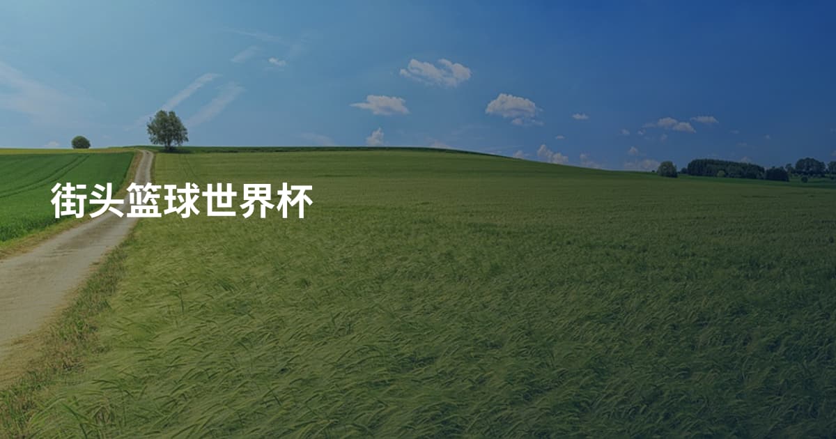 街头篮球世界杯