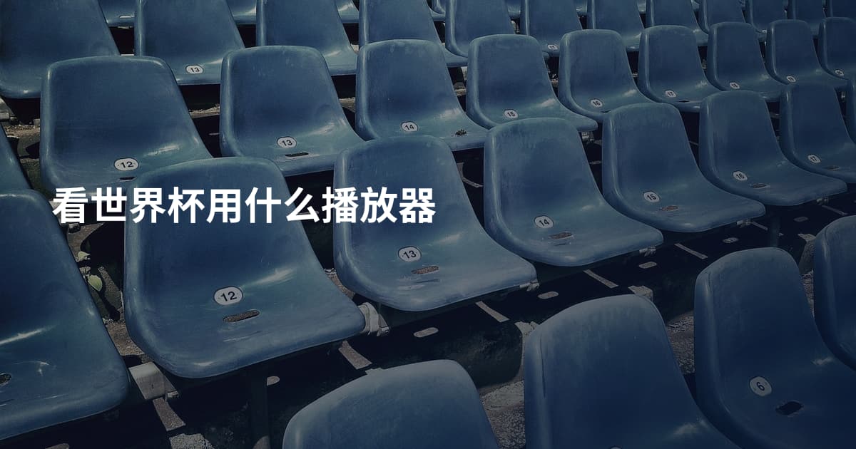 看世界杯用什么播放器