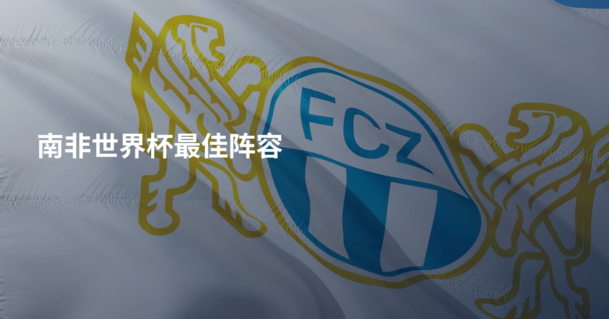 南非世界杯最佳阵容