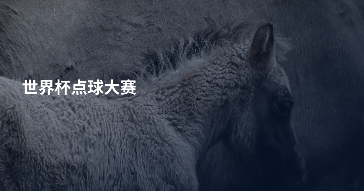 世界杯点球大赛