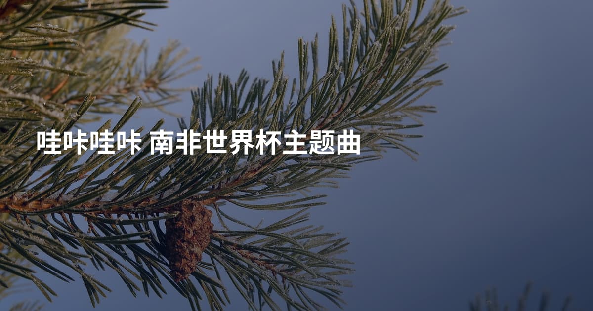 哇咔哇咔 南非世界杯主题曲