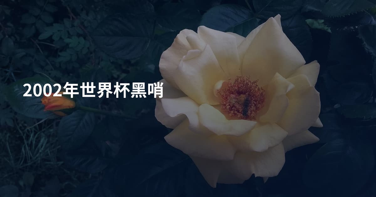 2002年世界杯黑哨