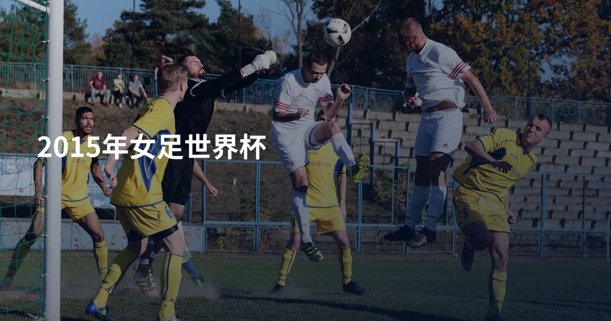 2015年女足世界杯