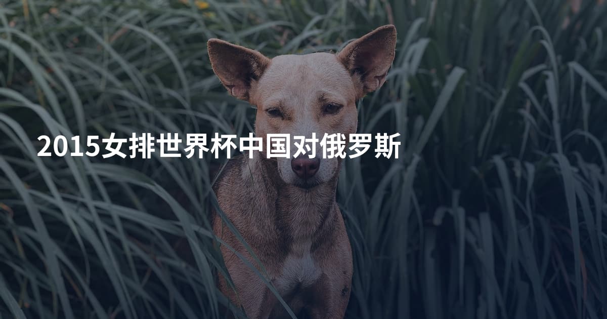 2015女排世界杯中国对俄罗斯