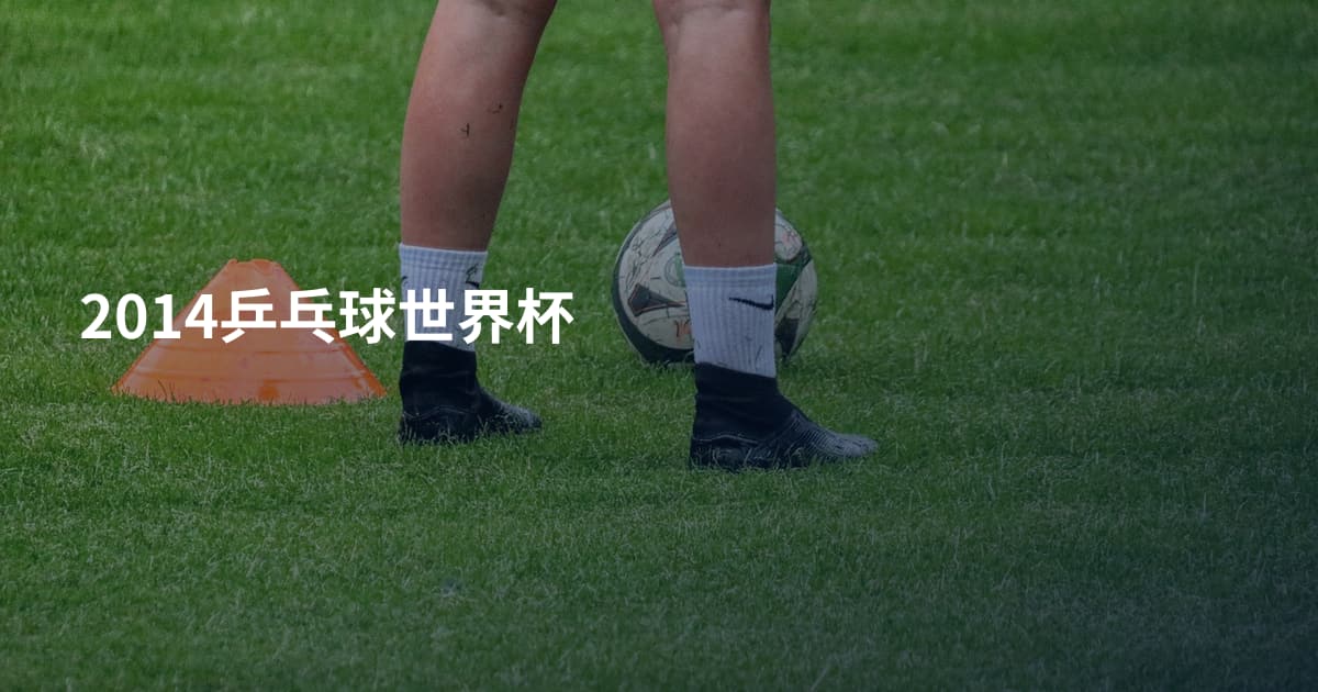 2014乒乓球世界杯