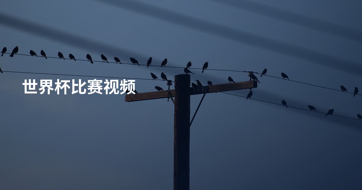 世界杯比赛视频
