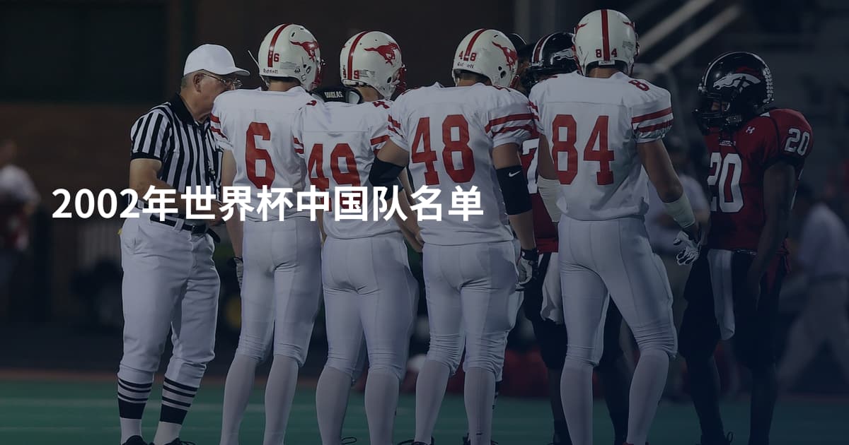 2002年世界杯中国队名单