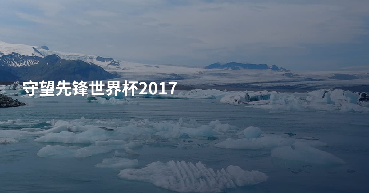 守望先锋世界杯2017
